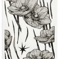ANEMONE_6x8.25in_inkacrylicaprayonpaper_zaneprater