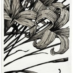 LILY_6x8.25in_inkacrylicaprayonpaper_zaneprater