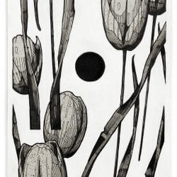 TOOLIPS_6x8.25in_inkacrylicaprayonpaper_zaneprater-scaled-1