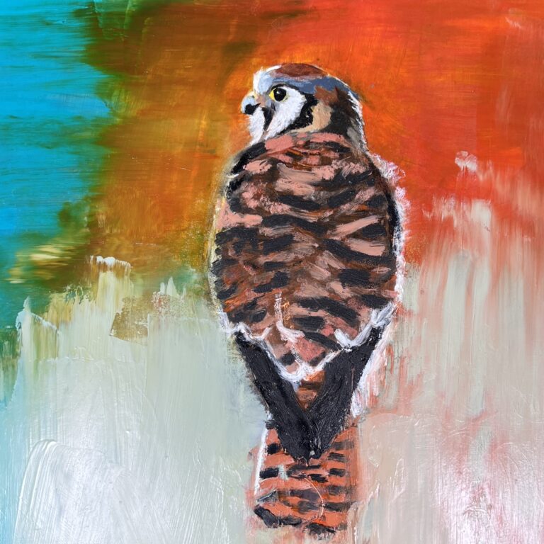 'A kestrel stands in profile, gently surrounded by soft greens and blue tones, suggesting quietude and attentiveness.'