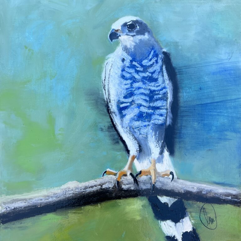 'A grey hawk faces right within a moody, textured landscape of muted blues and browns, evoking a quiet, reflective atmosphere.'