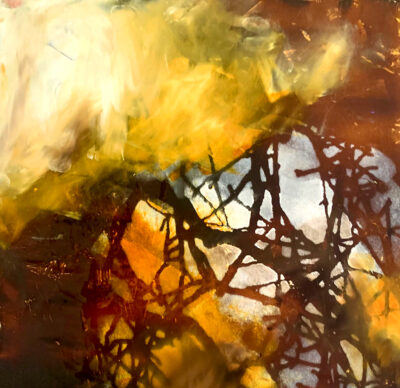 Forrest Fragment III